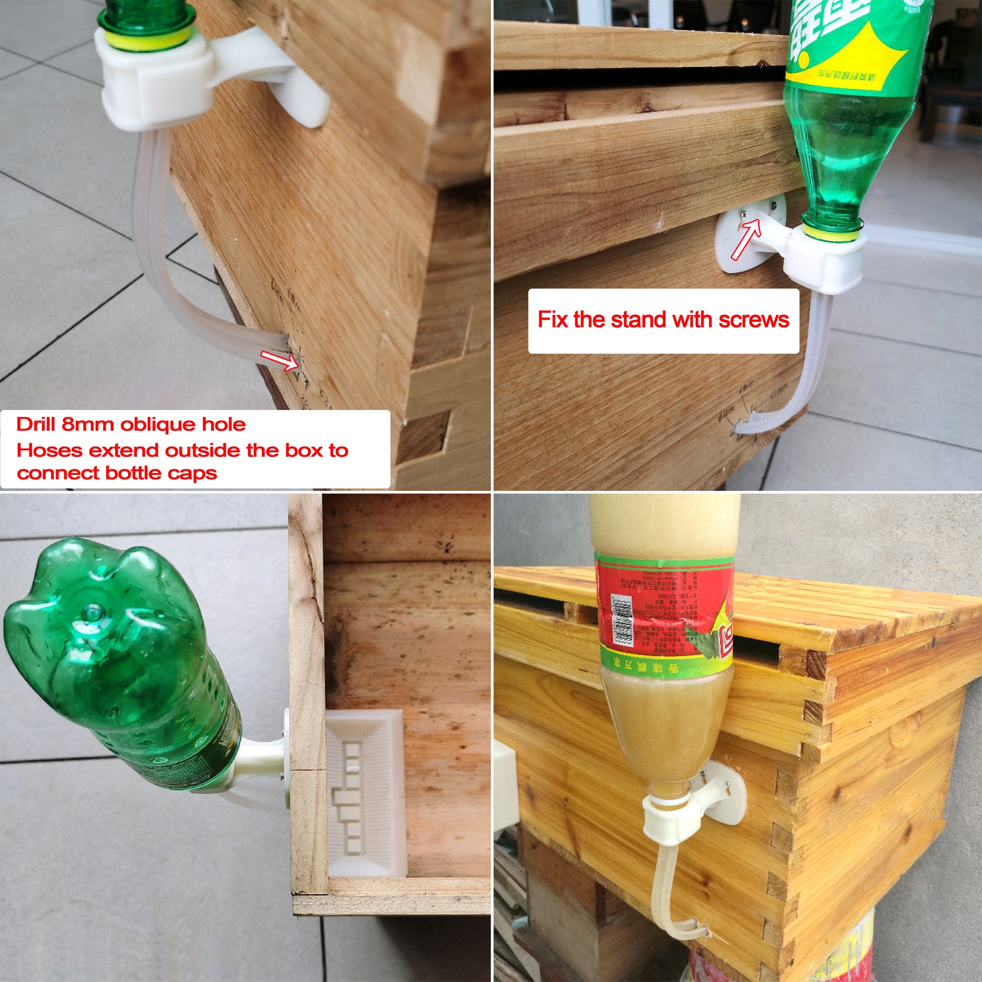Begonia Rex - 2Pcs Automatic Feeding Drinker Bees Sugar