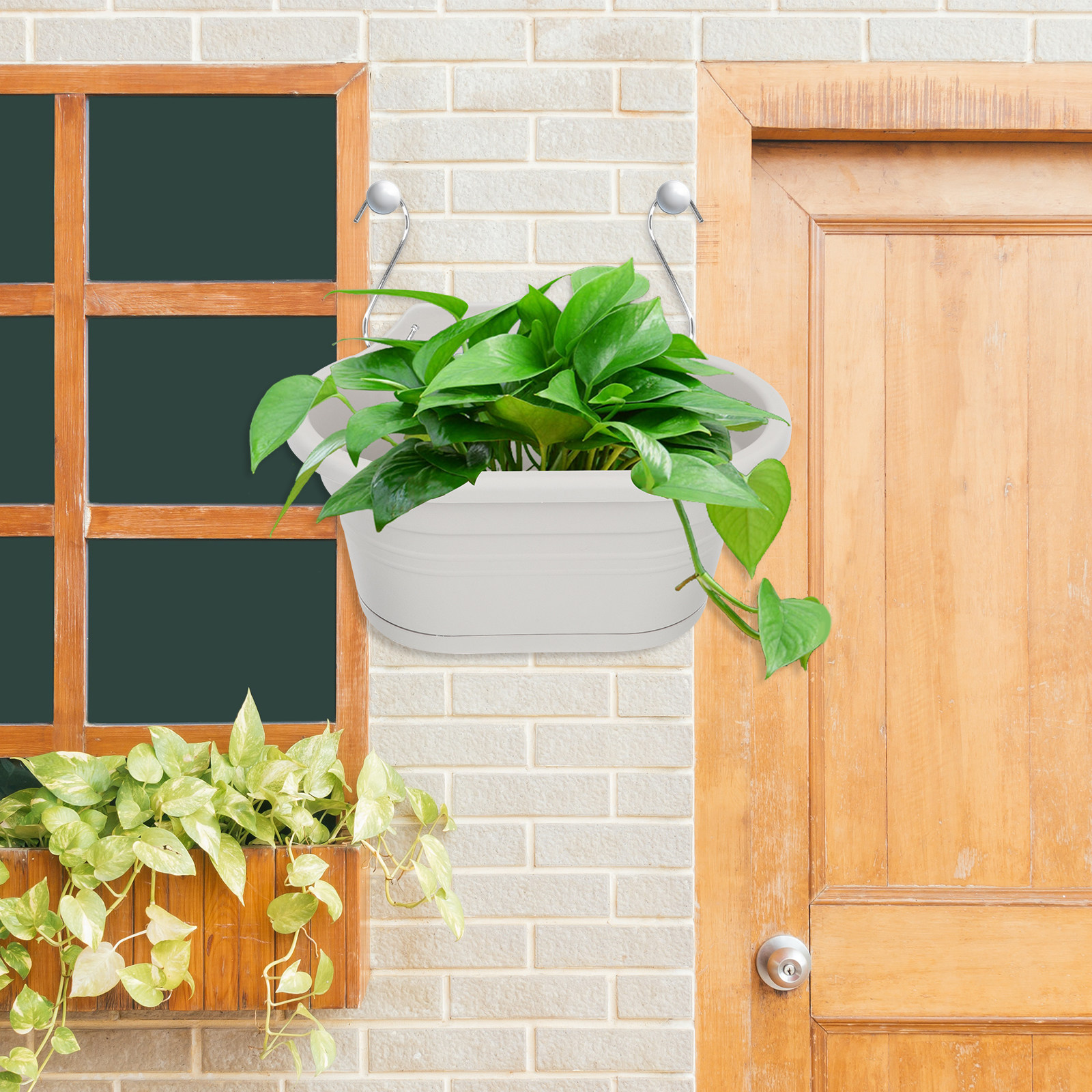 1Set Wall Hanging Flower Pot S - Spider Plant Hanging ulasan dan harga