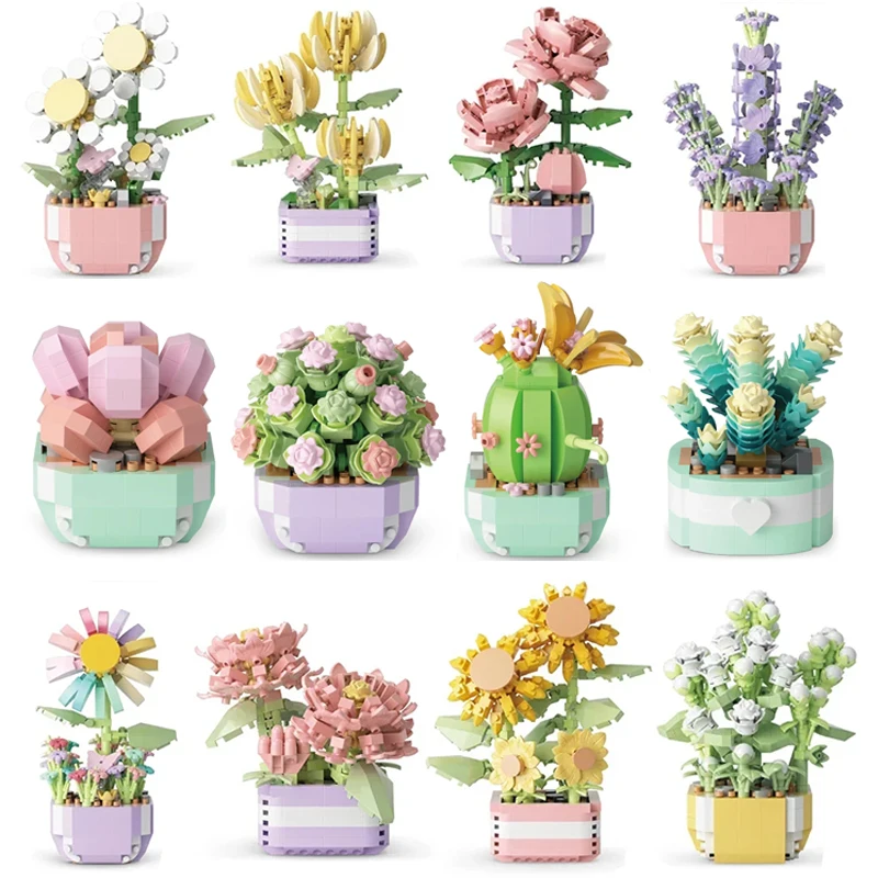 Flower Succulents Building Blo - Echeveria Succulent ulasan dan harga