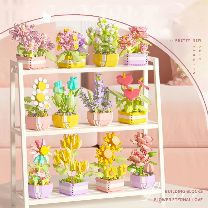 Flower Succulents Building Blo - Echeveria Succulent ulasan dan harga