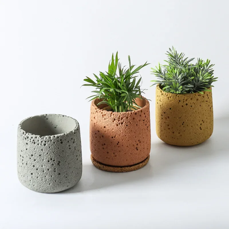 Nordic cement flowerpot simple - Echeveria Succulent ulasan dan harga