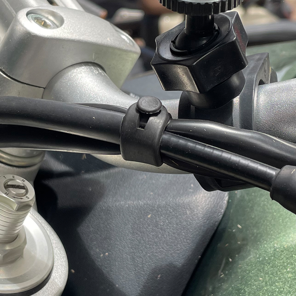 For Ducati Monster Multistrada - Monstera Adansonii ulasan dan harga
