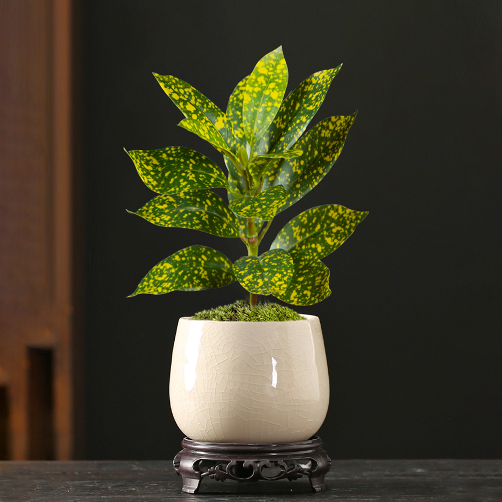 24-41cm Artificial Ficus Tree  - Ficus Lyrata Tree ulasan dan harga