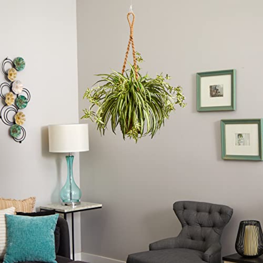 Spider Plant Hanging Basket fo - Spider Plant Hanging ulasan dan harga