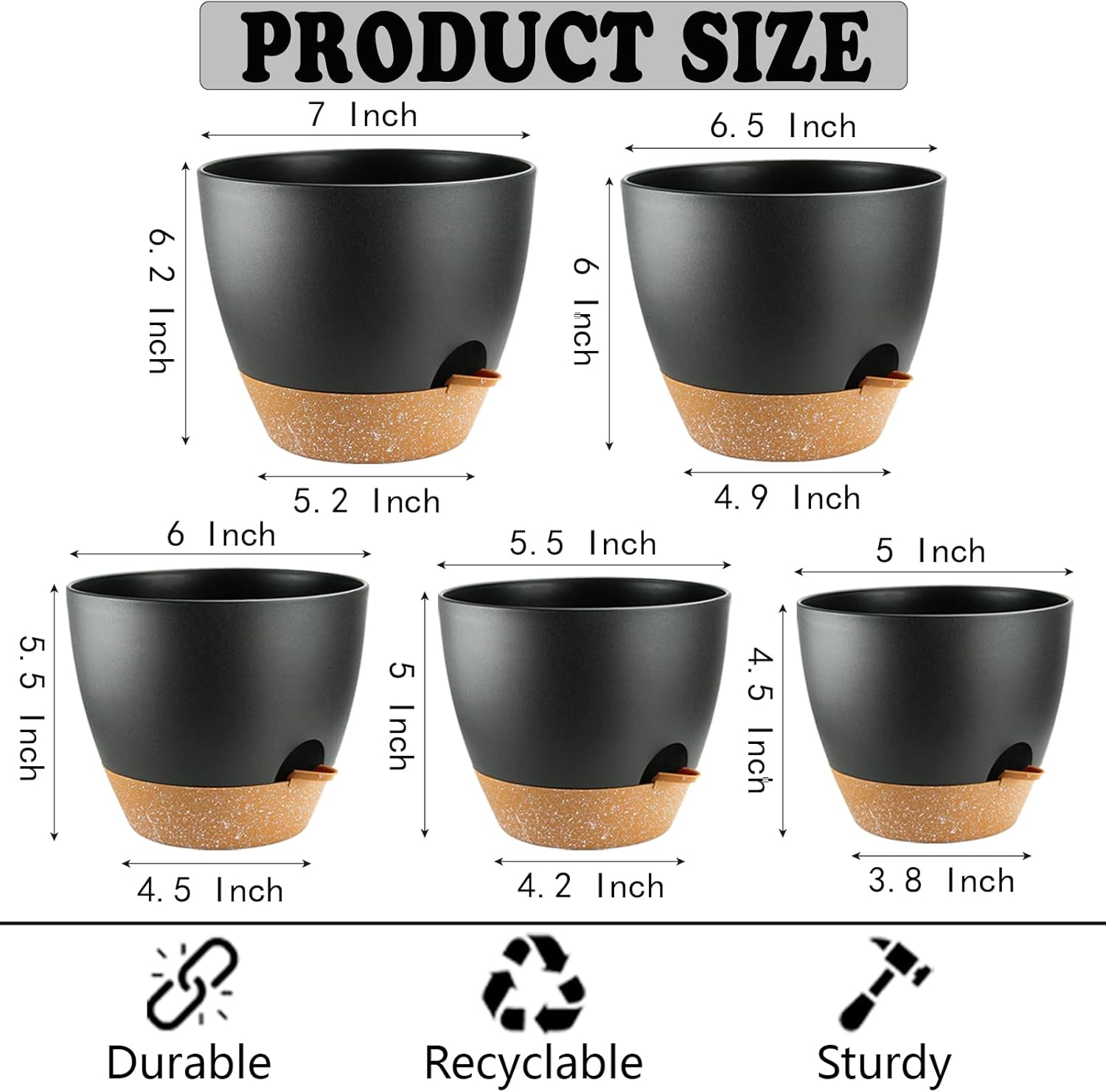 Self Watering Plant Pots with  - Echeveria Succulent ulasan dan harga