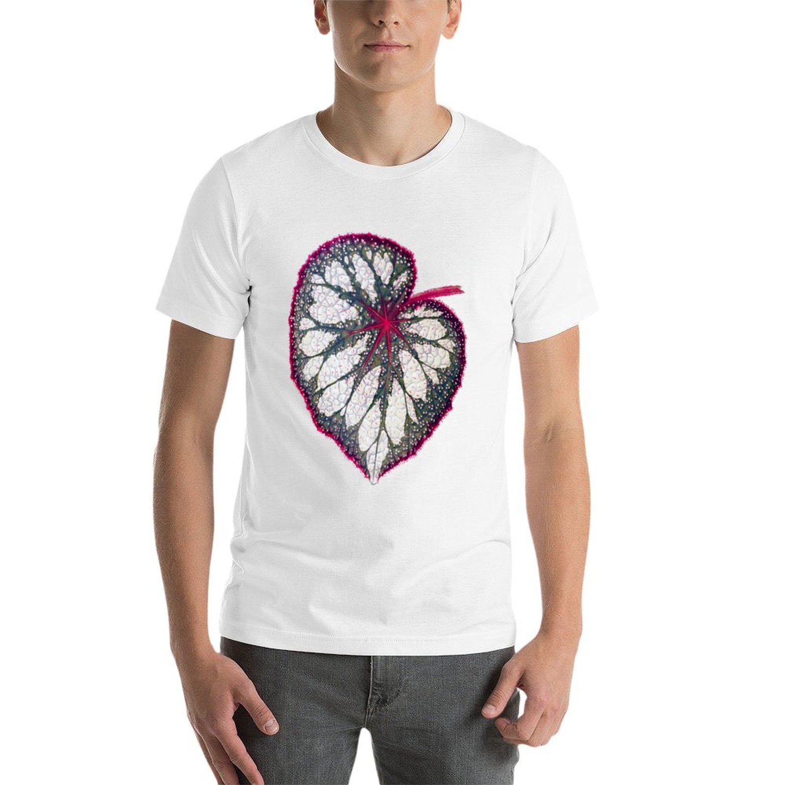 Begonia rex T-Shirt man graphi - Begonia Rex ulasan dan harga