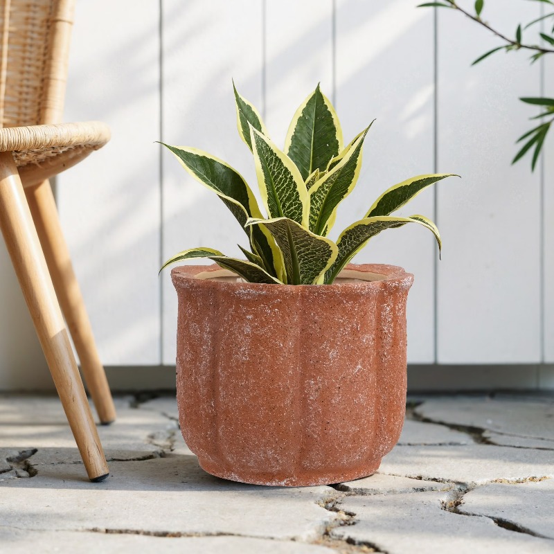 8in Terracotta Flower Planter  - Aloe Vera Pot ulasan dan harga