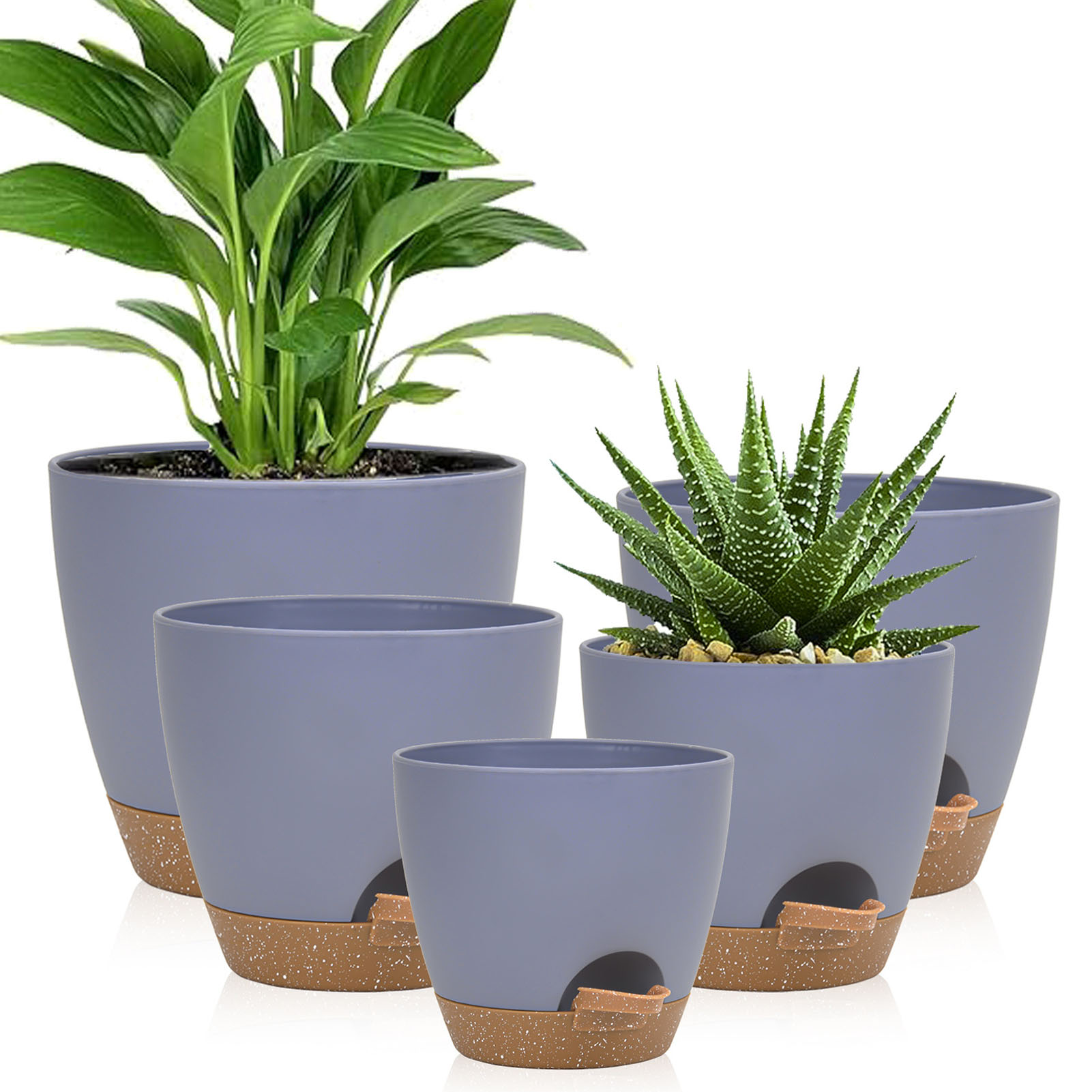 5piece Indoor Flower Pots With - Aloe Vera Pot ulasan dan harga