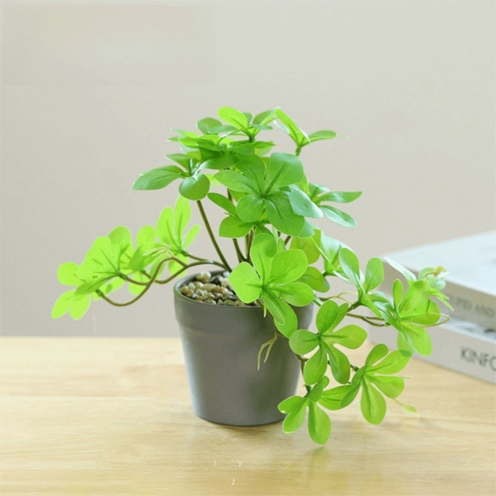 Bonsai Artificial Bonsai Plant - Spider Plant Hanging ulasan dan harga