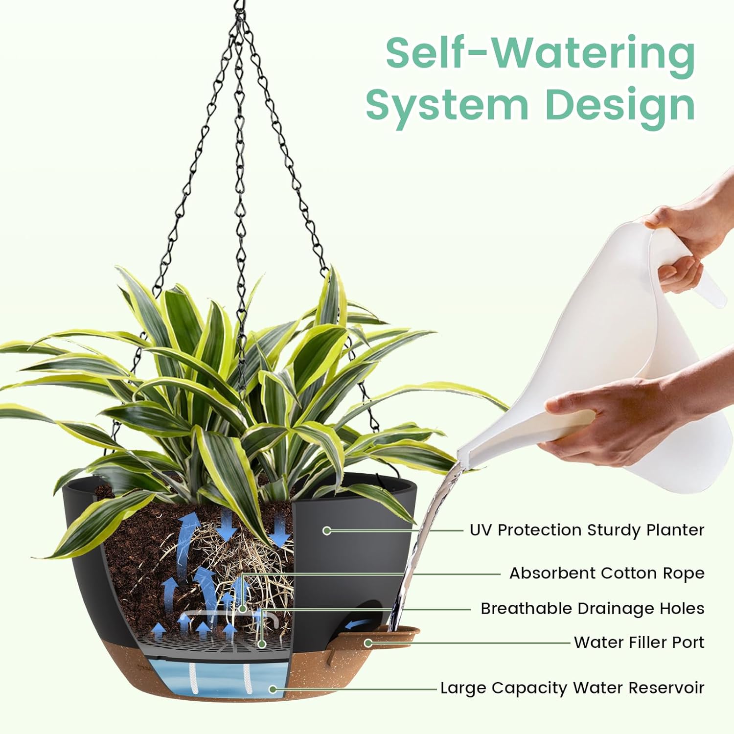 Self Watering Hanging Planters - Spider Plant Hanging ulasan dan harga