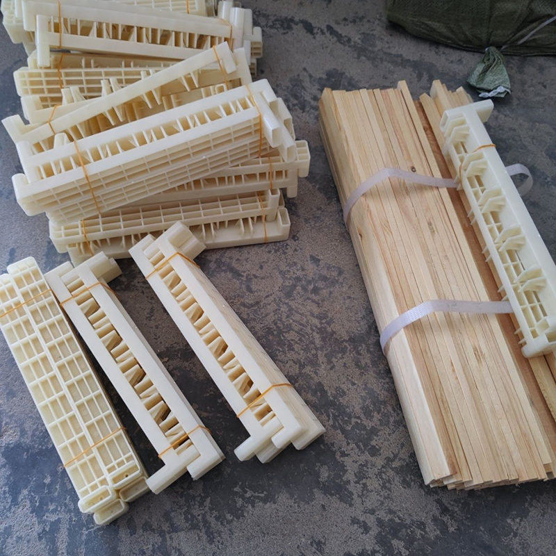 Bee Breeding Frames Plastic Ch - Begonia Rex ulasan dan harga