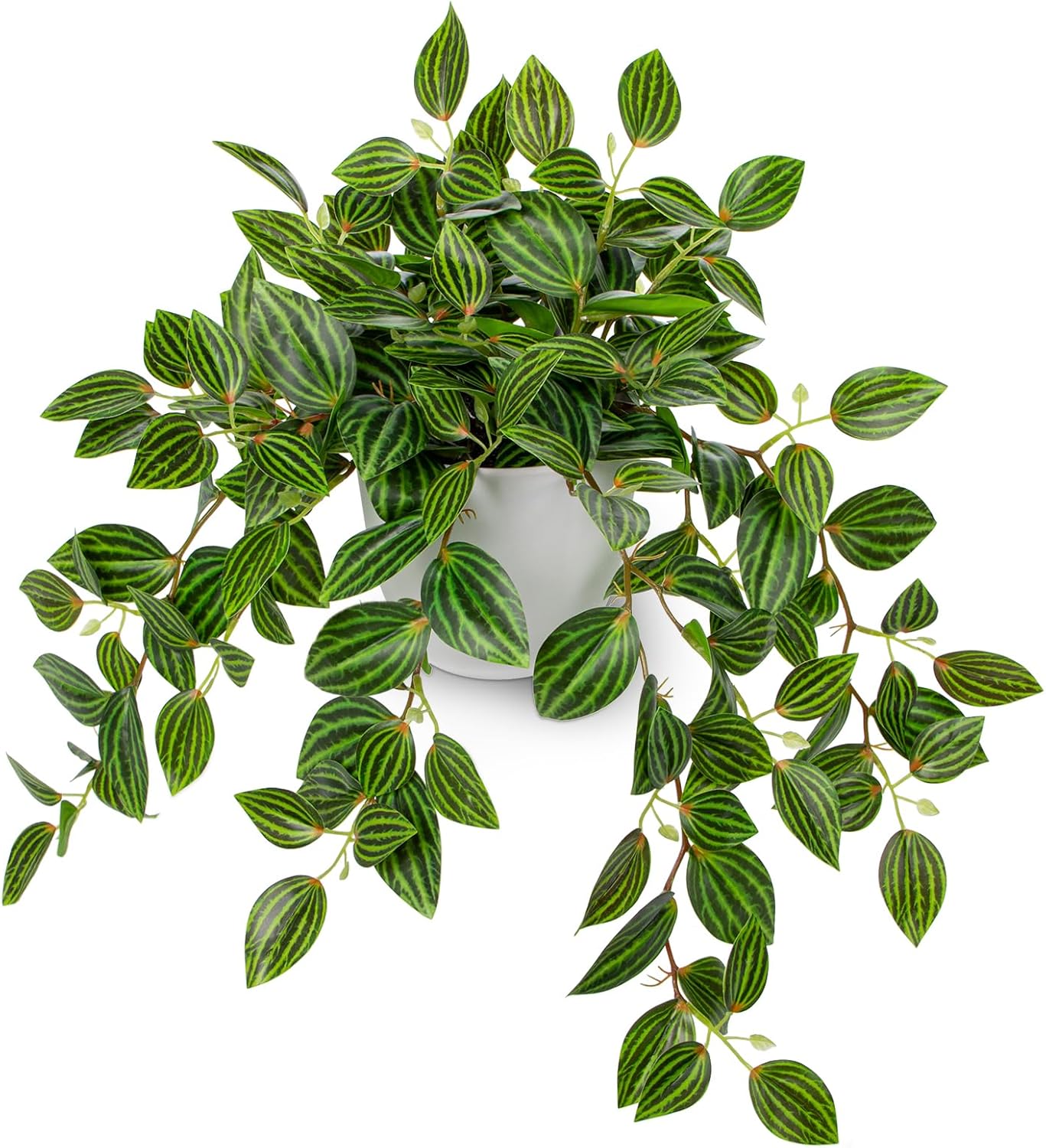 Artificial Plants Indoor Fake  - Peperomia Watermelon ulasan dan harga