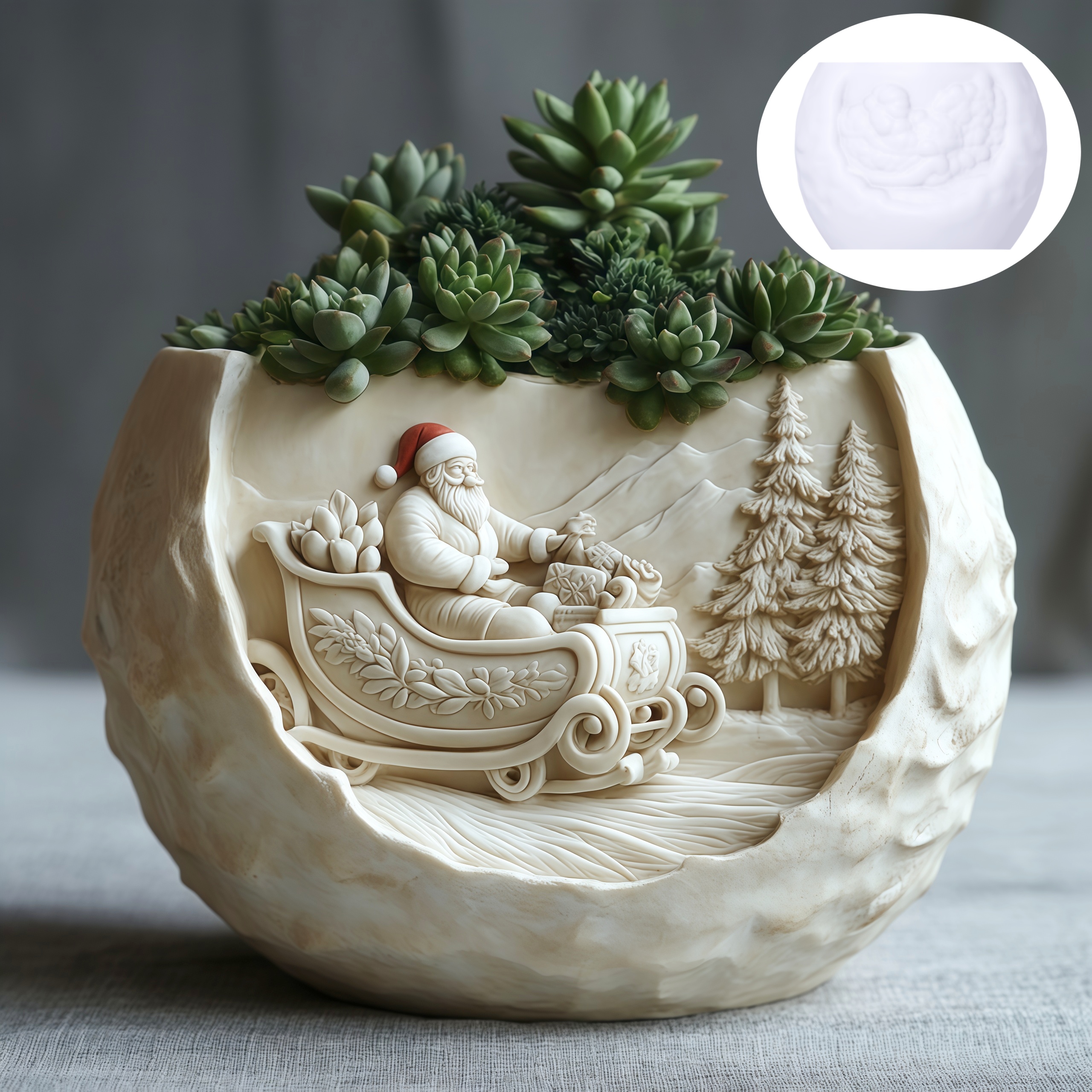 Cedar Sled Santa Claus Relief  - Echeveria Succulent ulasan dan harga
