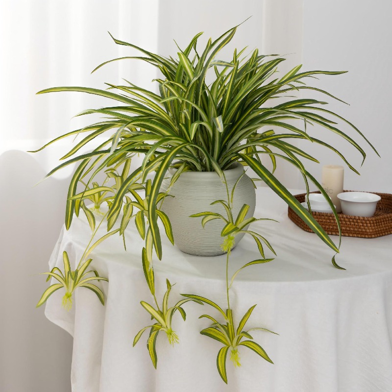 Artificial Spider Plant Chloro - Spider Plant Hanging ulasan dan harga