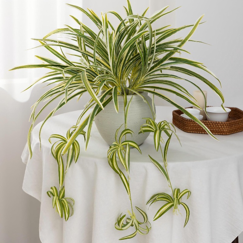 Artificial Spider Plant Chloro - Spider Plant Hanging ulasan dan harga