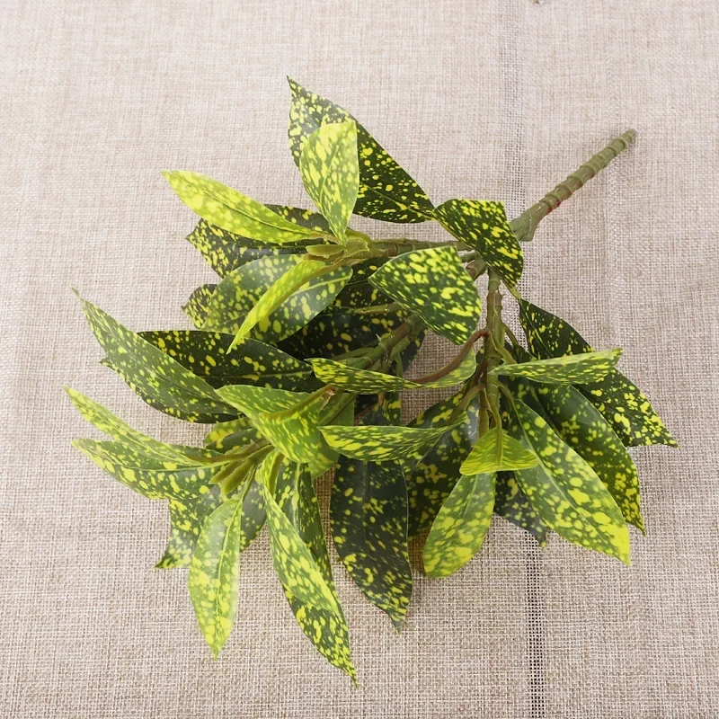 Plastic Artificial Color-chang - Dracaena Marginata ulasan dan harga