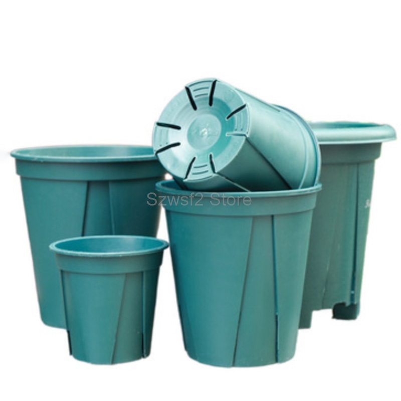 5/10pcs Green Plastic Plant Fl - Aloe Vera Pot ulasan dan harga